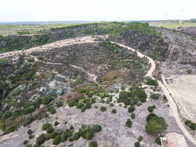 Terreno Misto para Venda em Bordeira Foto 9