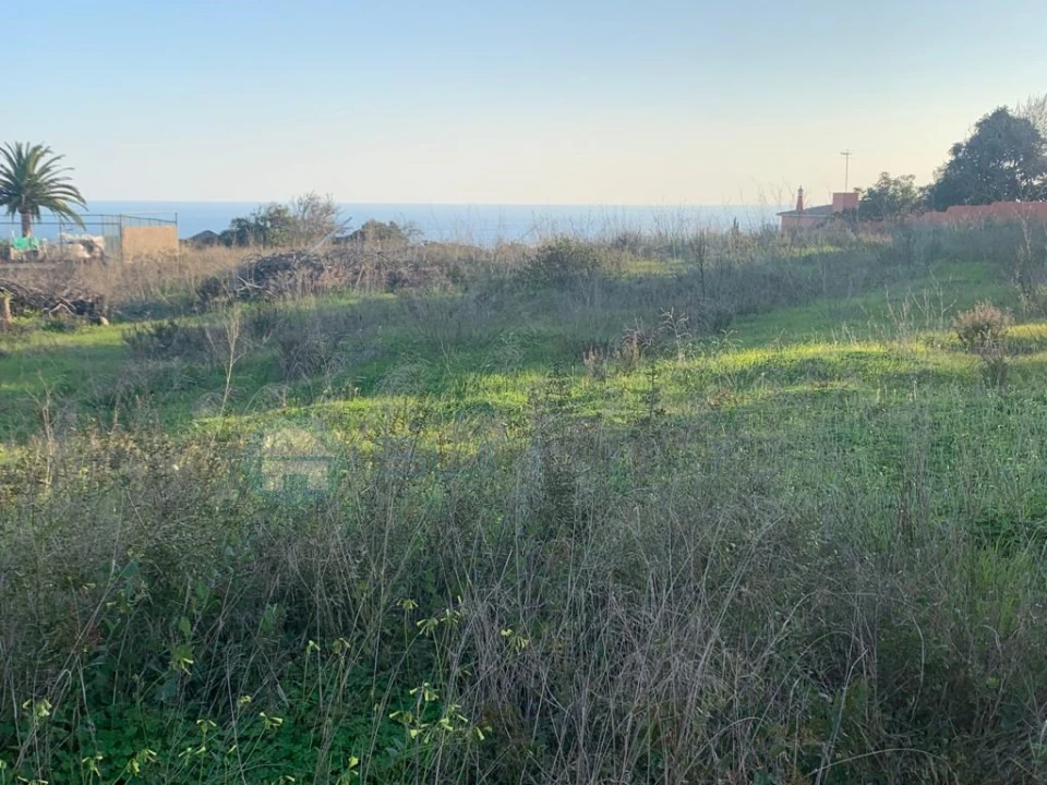 Terreno para Venda em Luz Foto 3