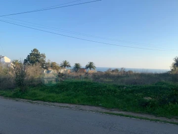 Terreno para Venda em Luz