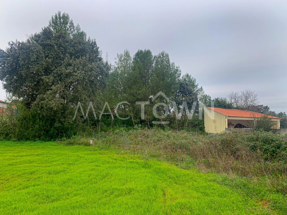 Terreno para Venda em Brogueira, Parceiros de Igreja e Alcorochel Foto 5