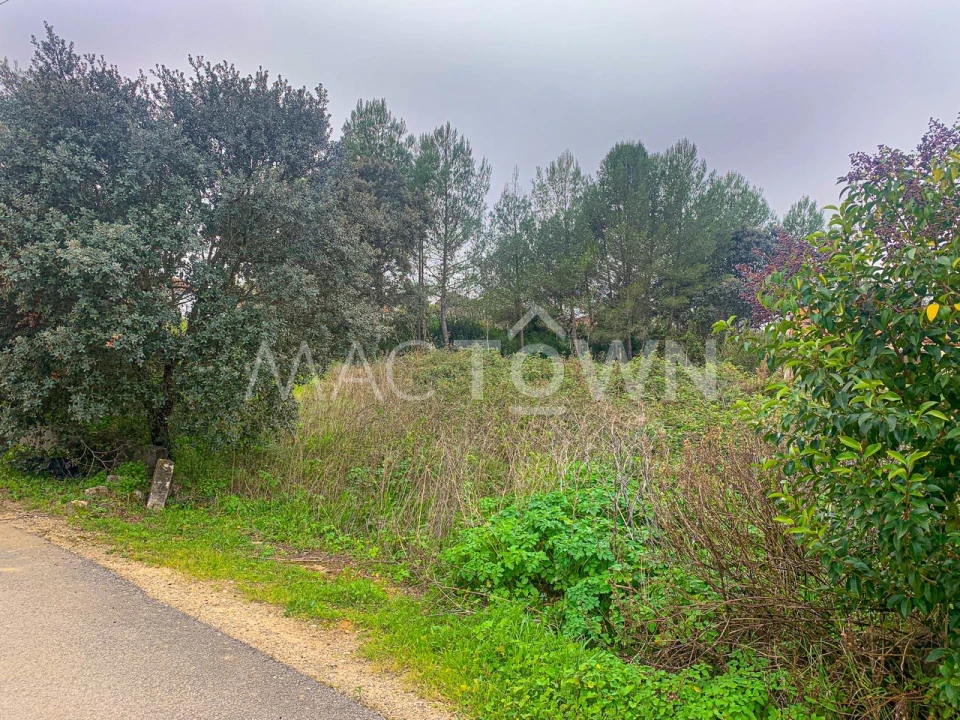 Terreno para Venda em Brogueira, Parceiros de Igreja e Alcorochel Foto 6