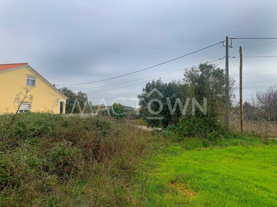 Terreno para Venda em Brogueira, Parceiros de Igreja e Alcorochel Foto 7