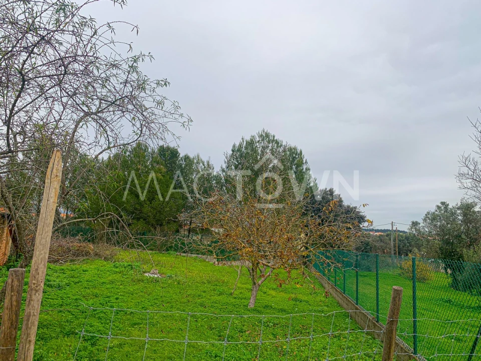 Terreno para Venda em Brogueira, Parceiros de Igreja e Alcorochel Foto 10