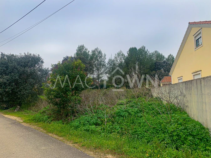 Terreno para Venda em Brogueira, Parceiros de Igreja e Alcorochel Foto 3