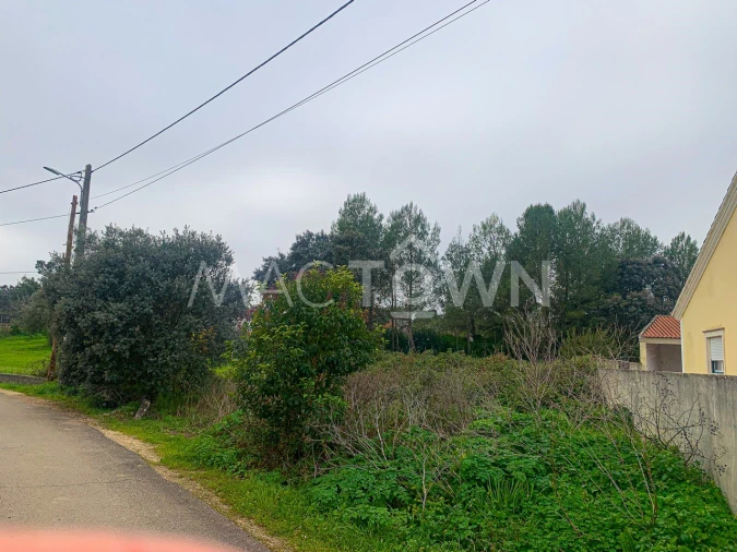 Terreno para Venda em Brogueira, Parceiros de Igreja e Alcorochel Foto 4