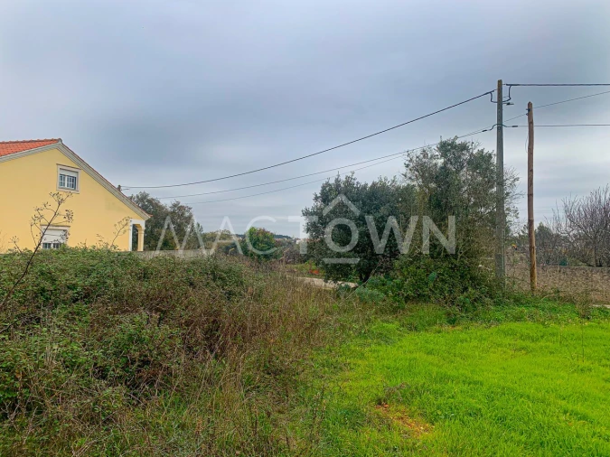 Terreno para Venda em Brogueira, Parceiros de Igreja e Alcorochel Foto 7