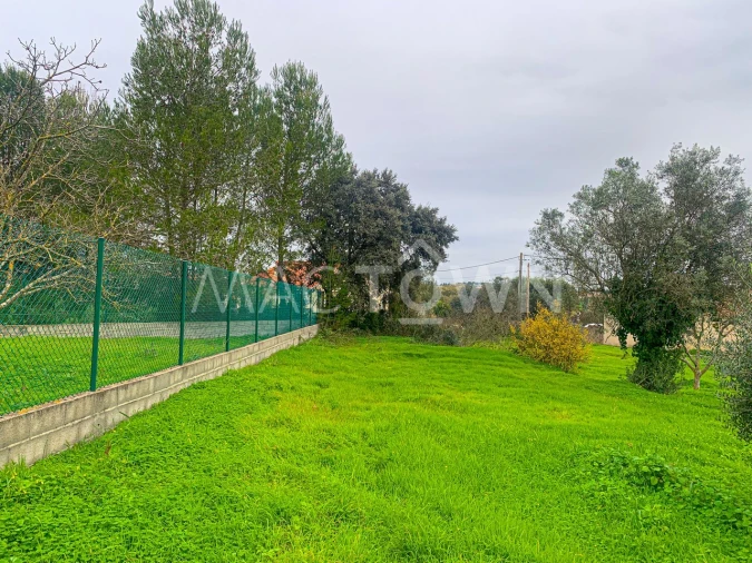 Terreno para Venda em Brogueira, Parceiros de Igreja e Alcorochel Foto 9