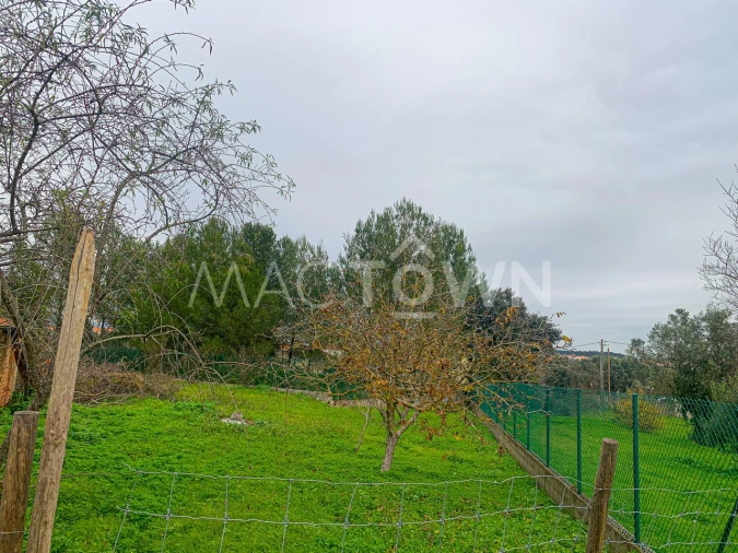 Terreno para Venda em Brogueira, Parceiros de Igreja e Alcorochel Foto 10
