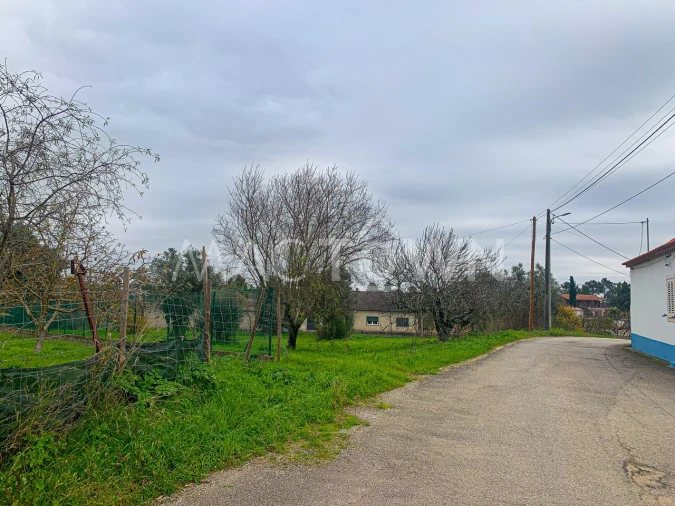 Terreno para Venda em Brogueira, Parceiros de Igreja e Alcorochel Foto 1