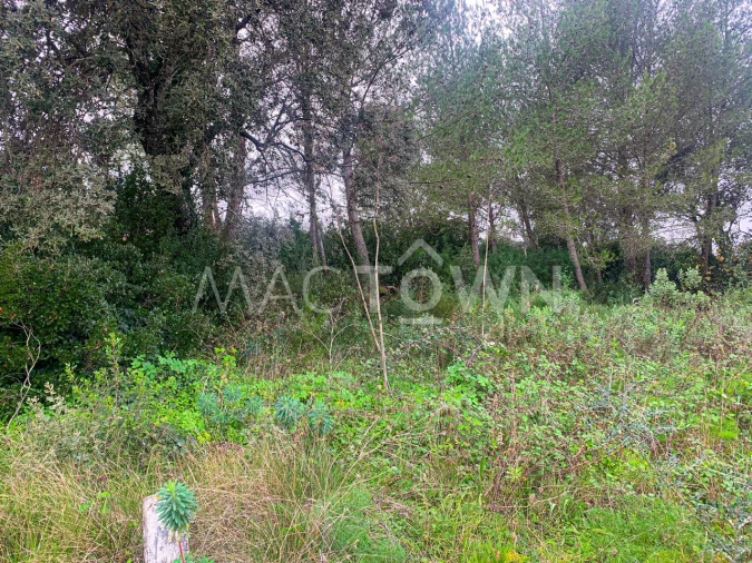 Terreno para Venda em Brogueira, Parceiros de Igreja e Alcorochel Foto 12