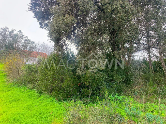 Terreno para Venda em Brogueira, Parceiros de Igreja e Alcorochel Foto 13