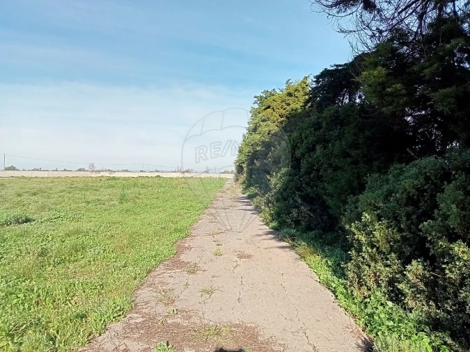 Terreno para Arrendamento em Povoa da Isenta Foto 3