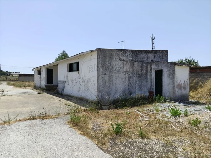 Terreno para Arrendamento em Povoa da Isenta Foto 7