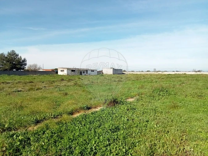 Terreno para Arrendamento em Povoa da Isenta