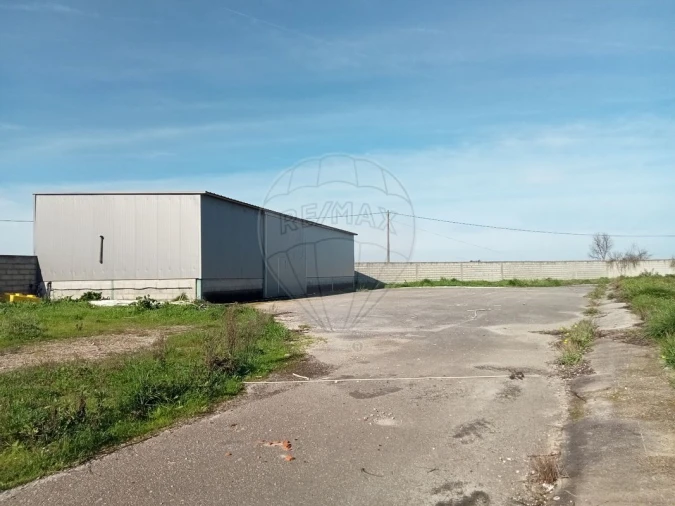 Terreno para Arrendamento em Povoa da Isenta Foto 6