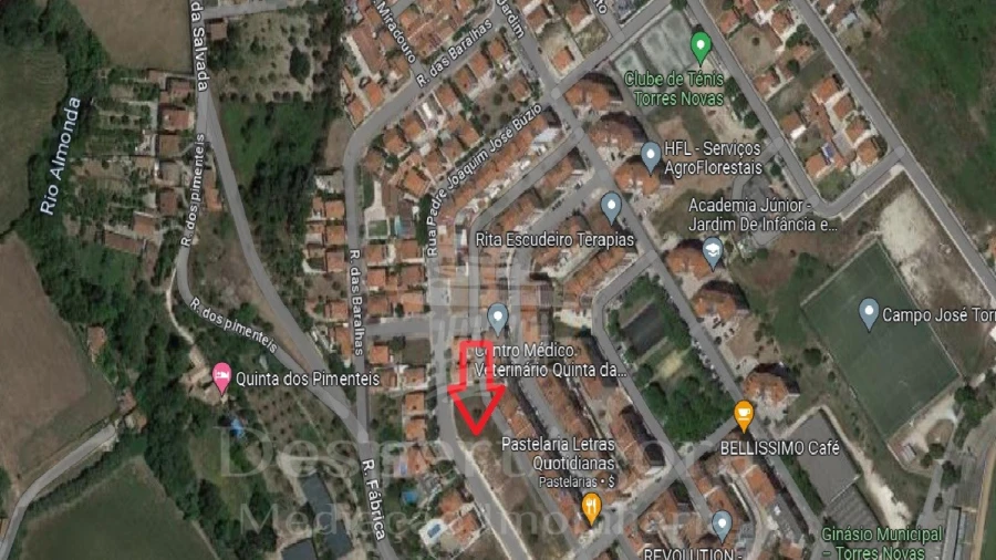 Terreno para Venda em Torres Novas (São Pedro), Lapas e Ribeira Branca