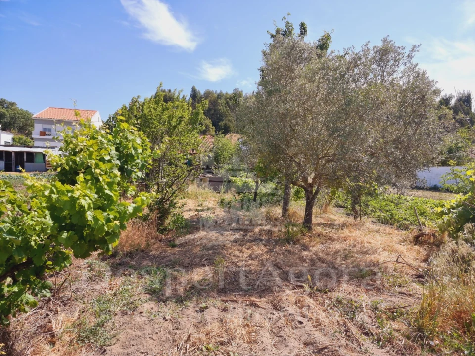 Moradia T6 para Venda em São Miguel do Rio Torto e Rossio Ao Sul do Tejo Foto 23