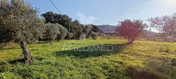 Terreno para Venda em Quinta do Anjo