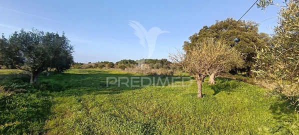 Terreno para Venda em Quinta do Anjo