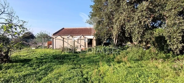 Terreno para Venda em Quinta do Anjo