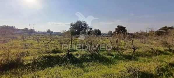 Terreno para Venda em Quinta do Anjo