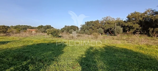 Terreno para Venda em Quinta do Anjo