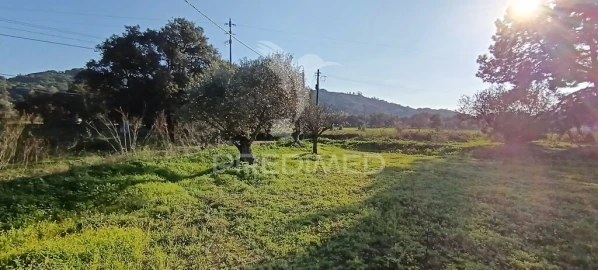 Terreno para Venda em Quinta do Anjo