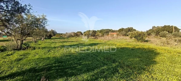 Terreno para Venda em Quinta do Anjo