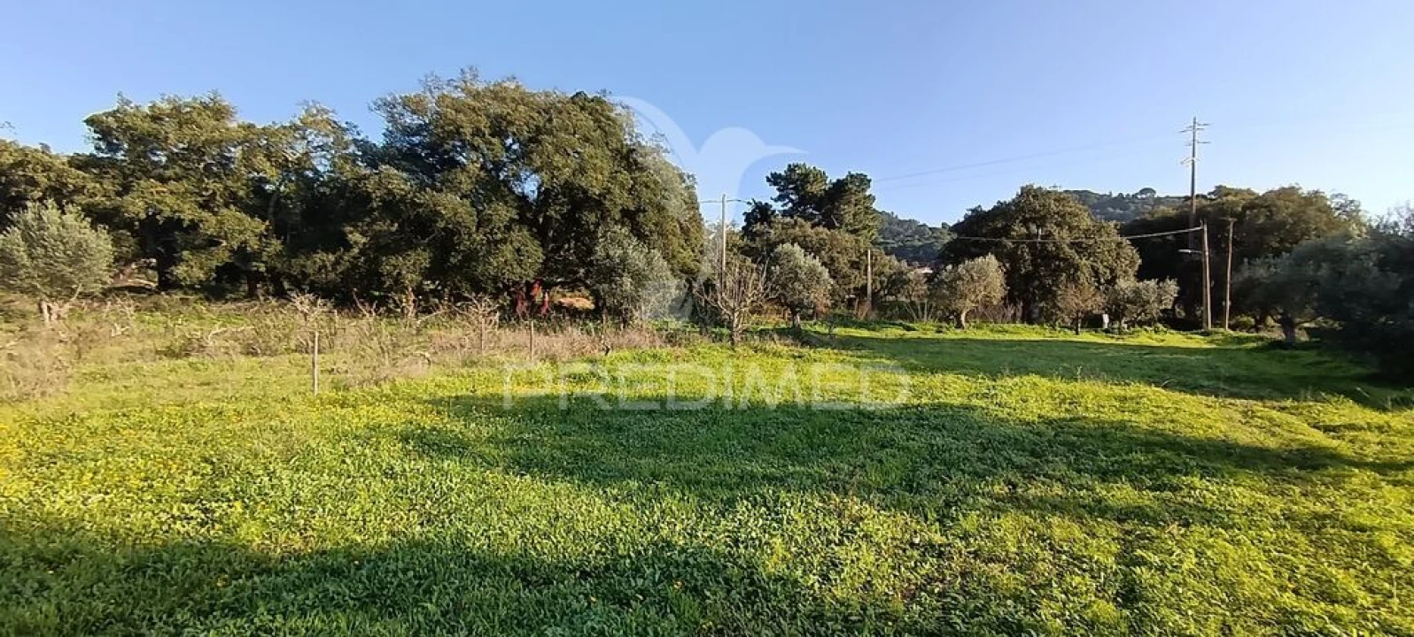 Terreno para Venda em Quinta do Anjo Foto 18