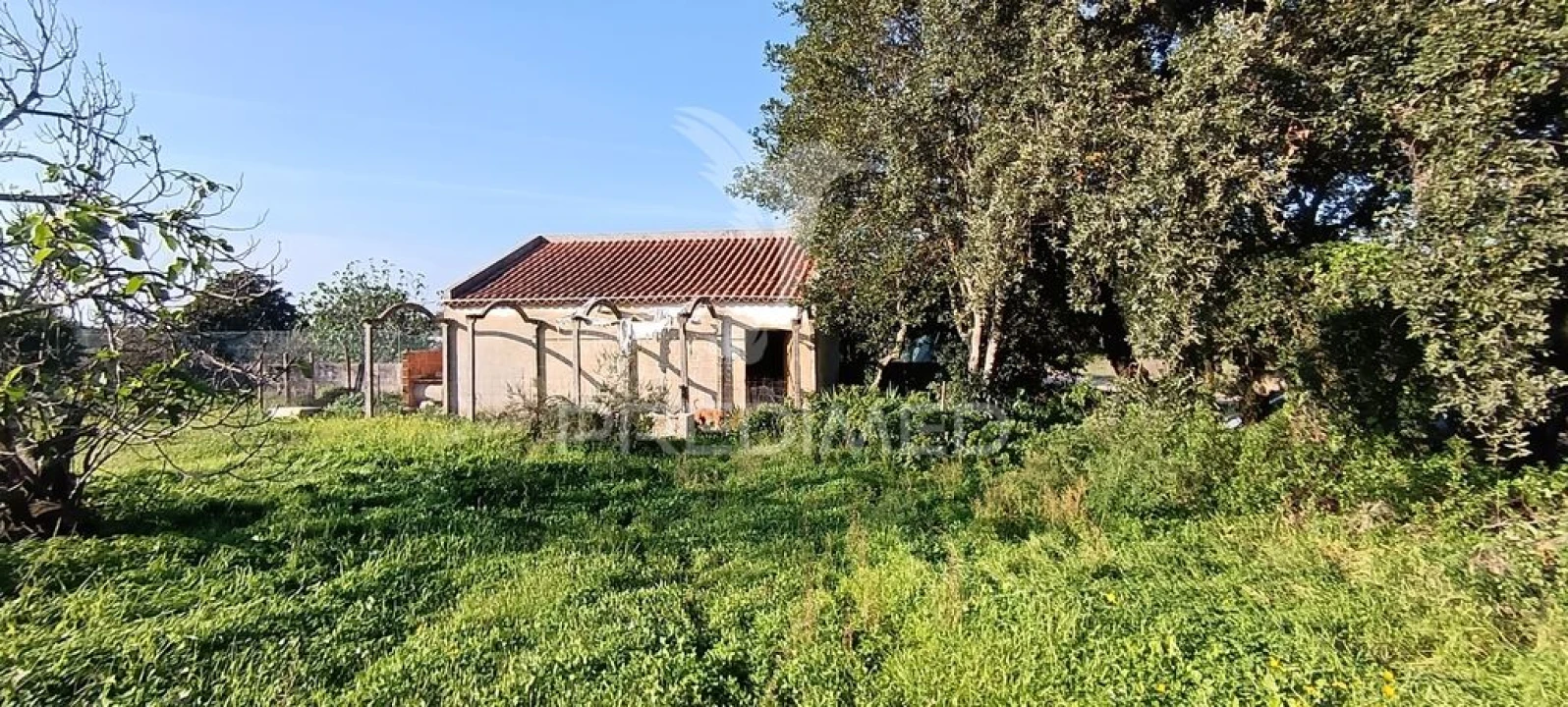 Terreno para Venda em Quinta do Anjo Foto 2