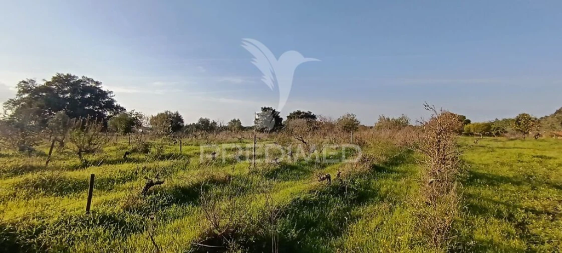 Terreno para Venda em Quinta do Anjo Foto 9
