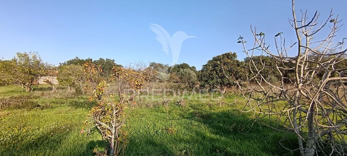 Terreno para Venda em Quinta do Anjo Foto 19