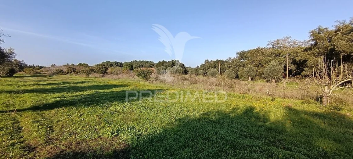 Terreno para Venda em Quinta do Anjo Foto 15