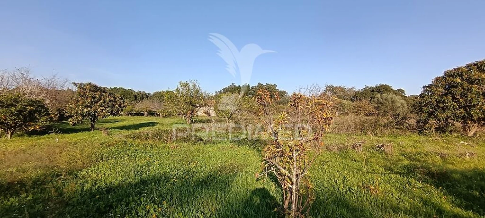Terreno para Venda em Quinta do Anjo Foto 20