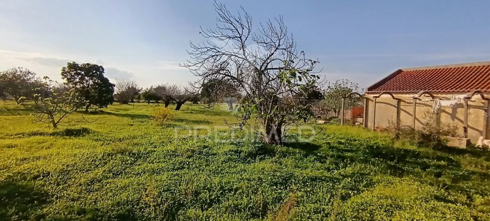 Terreno para Venda em Quinta do Anjo Foto 1