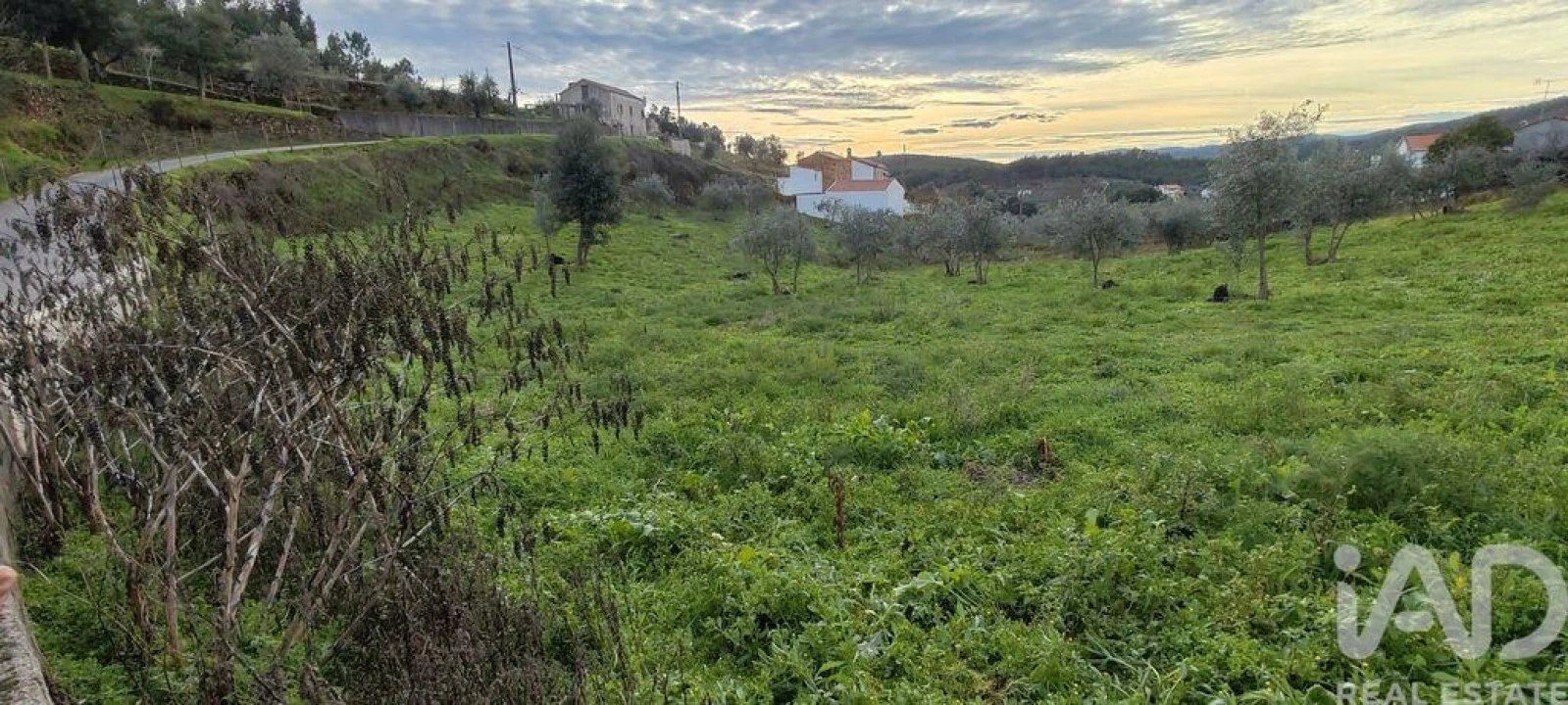 Moradia para Venda em Alvares Foto 16