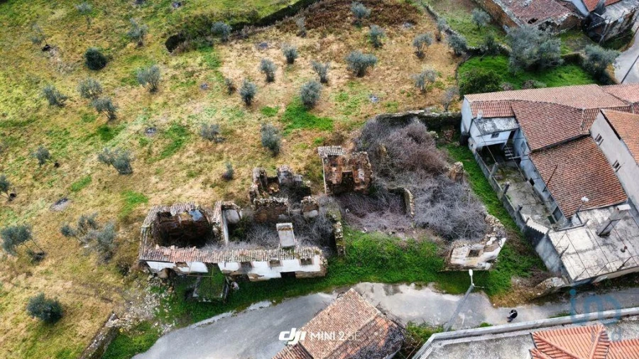 Moradia para Venda em Alvares Foto 4