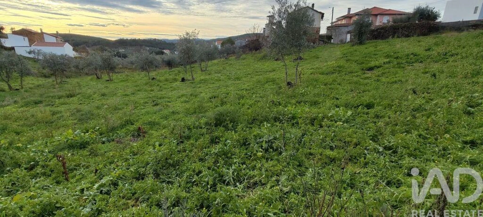 Moradia para Venda em Alvares Foto 17