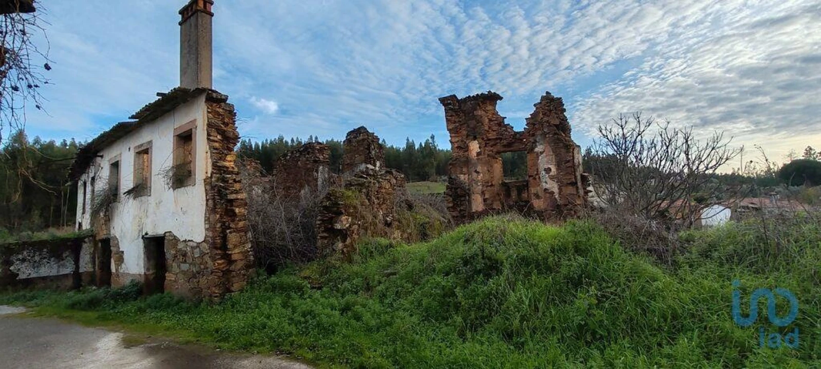Moradia para Venda em Alvares Foto 10