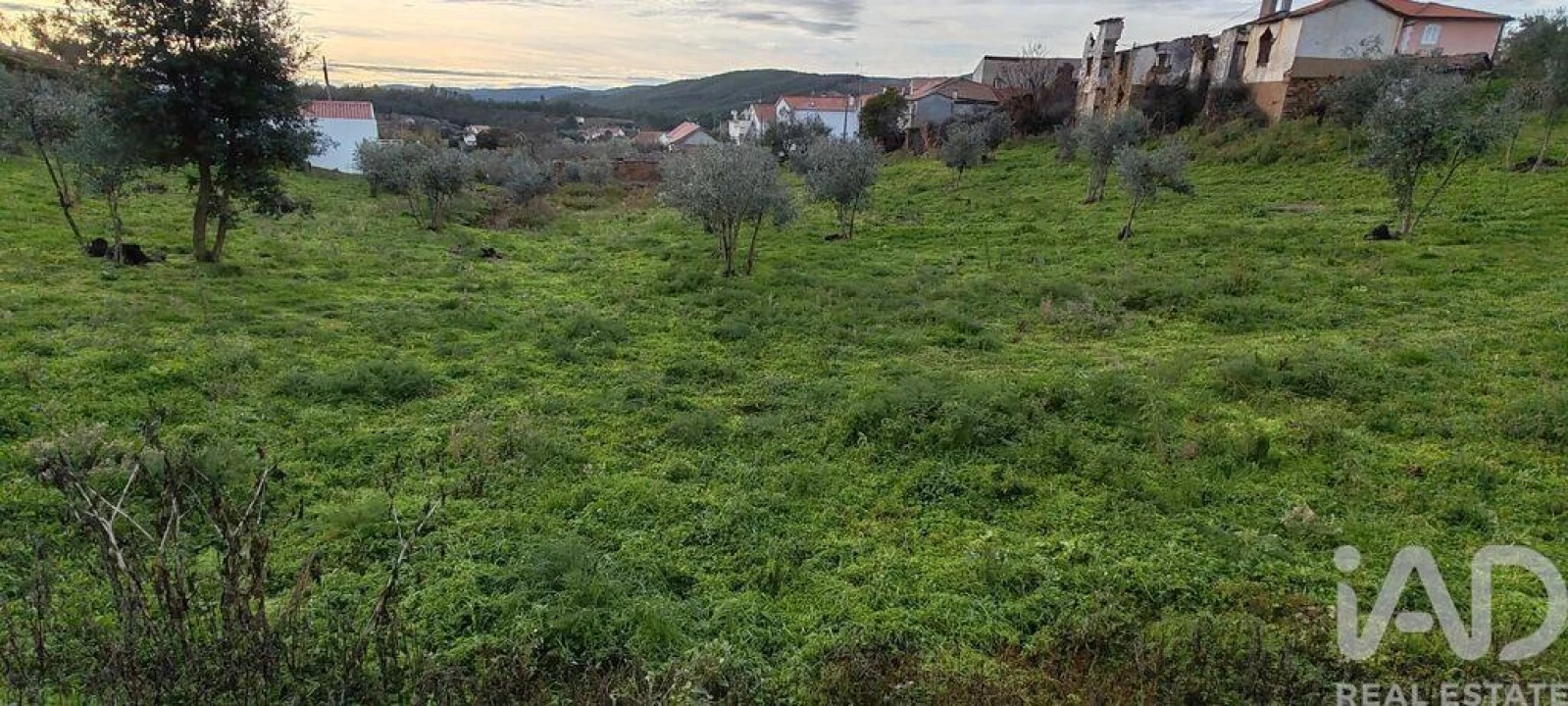 Moradia para Venda em Alvares Foto 20