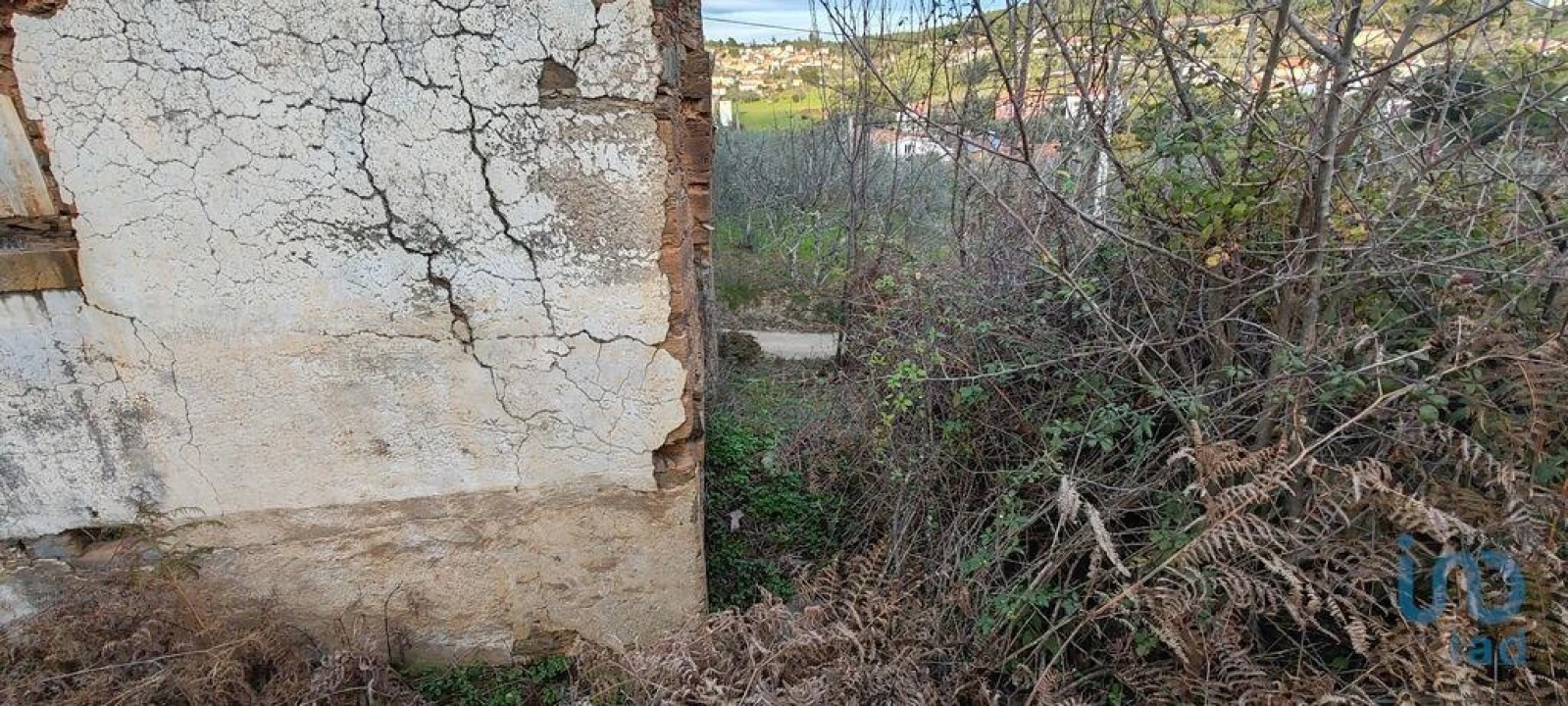 Moradia para Venda em Alvares Foto 12