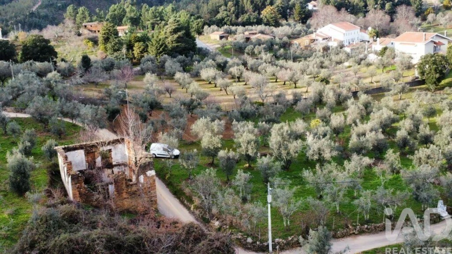Moradia para Venda em Alvares Foto 23