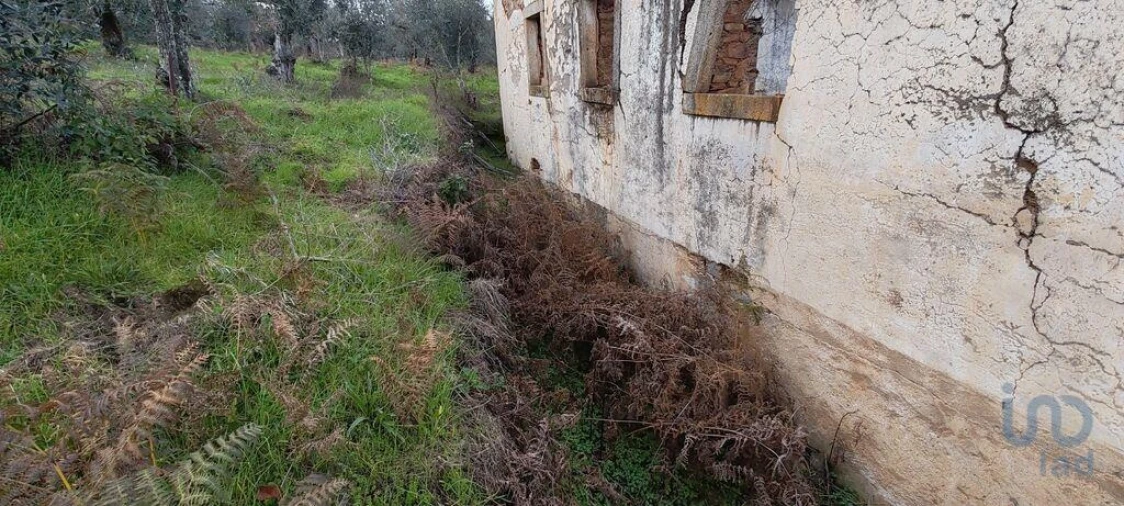 Moradia para Venda em Alvares Foto 13