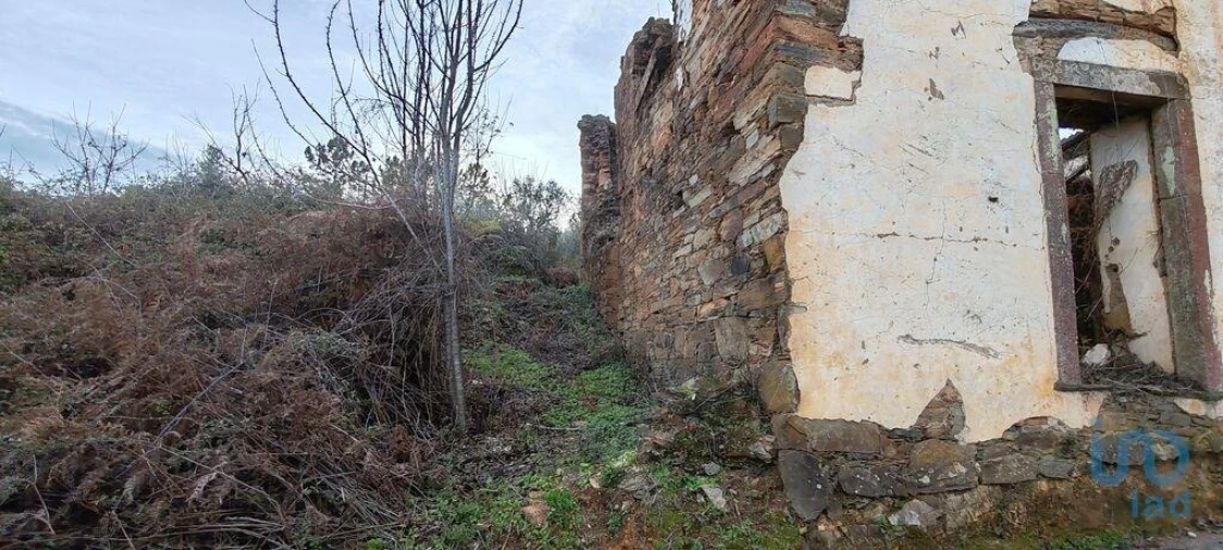 Moradia para Venda em Alvares Foto 9