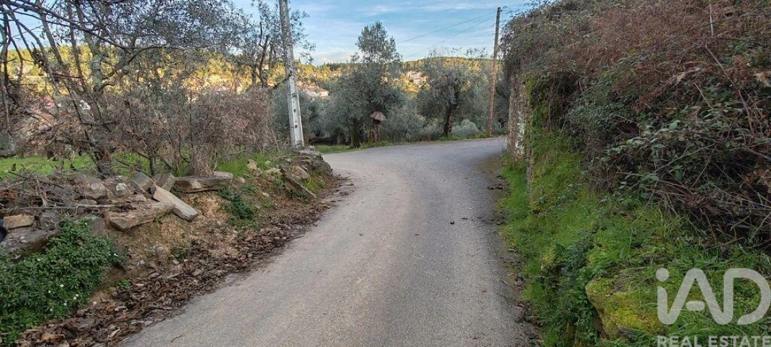 Moradia para Venda em Alvares Foto 24