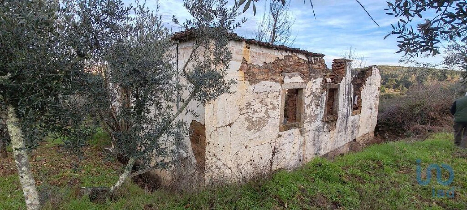 Moradia para Venda em Alvares Foto 5