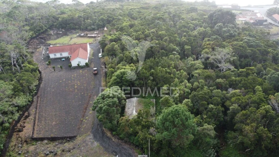 Terreno para Venda em São Caetano Foto 8