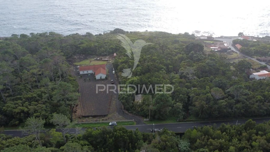 Terreno para Venda em São Caetano Foto 3