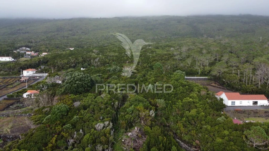 Terreno para Venda em São Caetano Foto 6