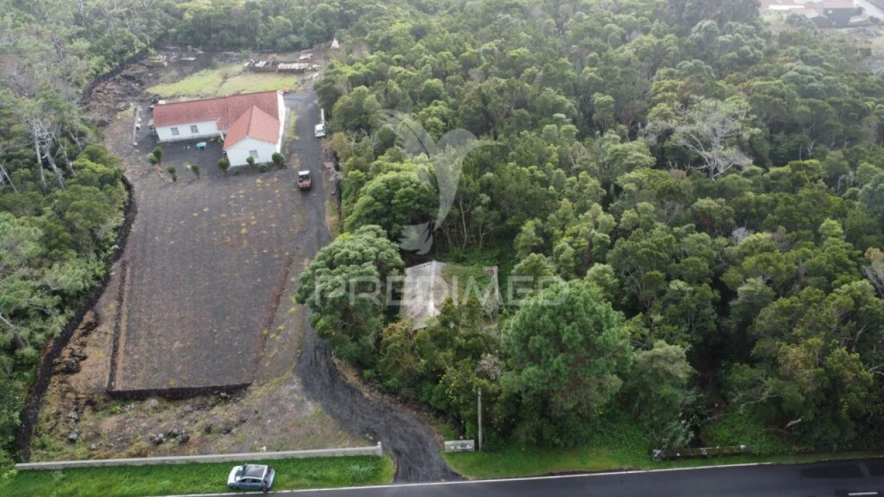 Terreno para Venda em São Caetano Foto 10